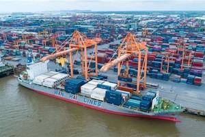 Vietnam regrets US decision not to recognise its market economy status