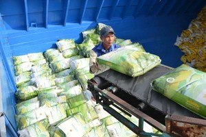 Vietnam earns nearly US$3.3 billion from rice exports in first seven months
