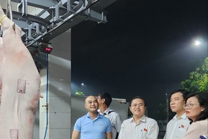 HCMC monitors food safety in slaughter establishments