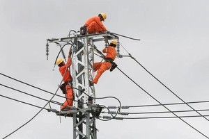 Vietnam oriented toward development of competitive retail electricity market