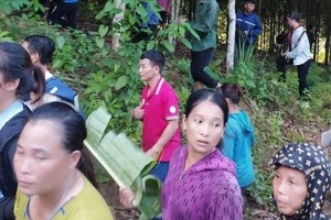 6-year-old boy found safe after surviving 5 days in deep forest