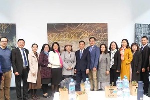 Lima City, HCMC aims for long-term cooperation