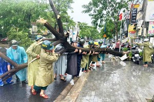 Flooding, fallen trees worry people in Southeast provinces