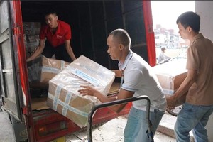 WHO supplies chlorine tablets to Vietnamese flood victims