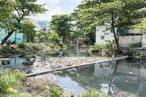 Polluted canals filled with garbage raise dengue public concerns