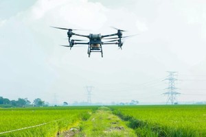 Ministry provides training of operating drones in agriculture