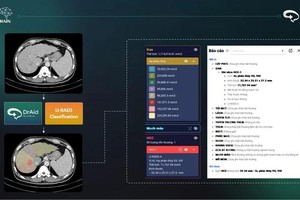 Vietnam localizing AI-utilized products