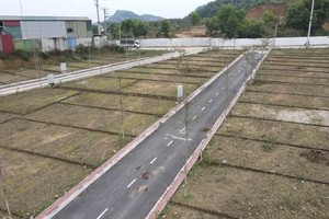 Hanoi: Yet another land auction sets record