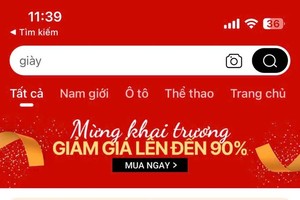HCMC Industry and Trade authority to scrutinize e-commerce platforms 