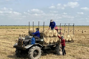 Wastes seen in poor investment choices