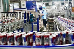 HCMC racing against time to meet its economic growth target 