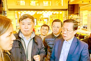 HCMC delegates study PPP model in US under VELP