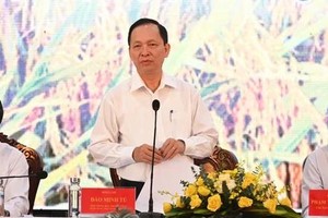 Banks roll out preferential credit for high-quality rice project