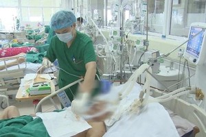 Binh Dinh Province reports additional influenza-related death