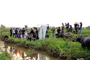 Vietnam’s film industry fragile 