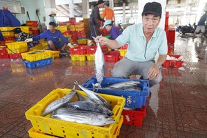Disparities in fisheries logistics infrastructure