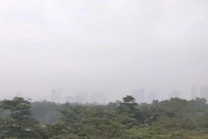 Meteorologists: Northern region faces harsh cold, HCMC has unseasonal rains