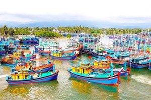 Vietnam takes steps to combat IUU aiming to remove EC’s "yellow" card warning