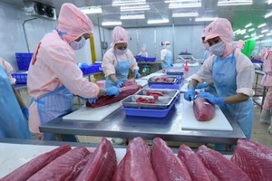 Vietnamese fisheries sector navigating headwinds in US market