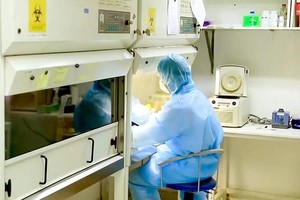 Vietnam vigilant against new resurgent diseases