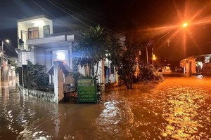 Heavy rains in Khanh Hoa Province raise flash flood and landslide concerns