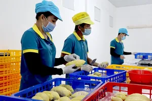 Inadequate planning undermines competitiveness of agricultural products