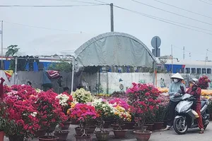 Ho Chi Minh City bustling with Tet flower markets