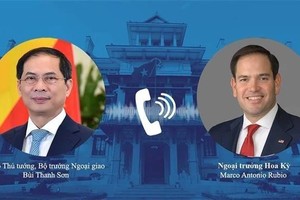 Vietnamese Deputy PM, FM holds phone talks with US Secretary of State