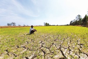 HCMC developing plan to address drought, water shortage in dry season