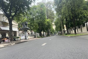 Green space target: 1m² per person by 2030 in Ho Chi Minh City