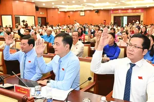 Agency heads have authority to decide on IT application investment, procurement