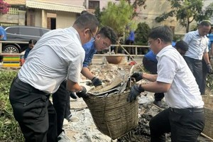 Young volunteers beautify canals in Ho Chi Minh City