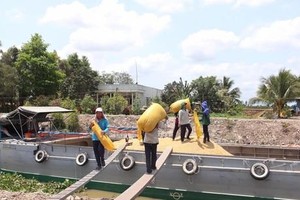 Vietnamese rice export prices increase for two consecutive weeks