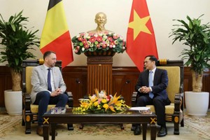 Vietnam values multifaceted cooperation with Belgium: Deputy PM