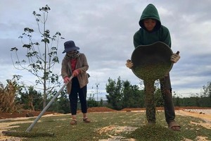 Domestic pepper prices unexpectedly drop