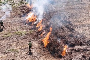Local authorities working hard to prevent and fight forest fires