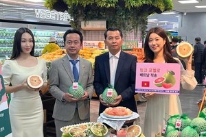 Businesses should explore more agricultural export markets: Ministries