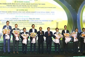 High-tech solutions improve livestock farming efficiency