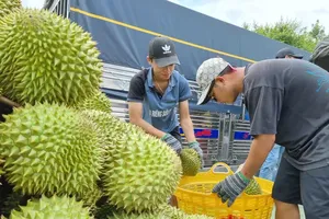 Ministry to tighten management of planting area codes 