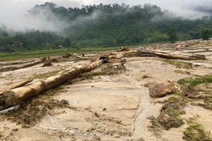 Local authority help residents to overcome flash flood consequences