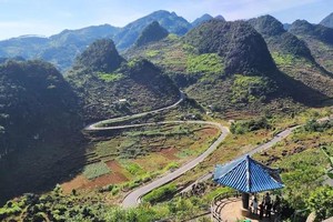 Vietnam welcomes Oscar-winning director, Olympic champion with open arms