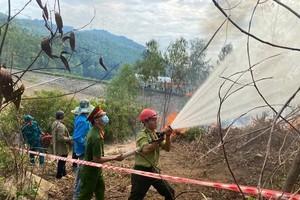 High forest fire risk in Quang Ngai amidst hot weather