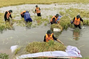 Residents, soldiers, authorities in Central region work to rebuild after floods