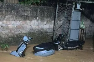 Lang Son, Da Lat experience severe flooding due to heavy rainfall