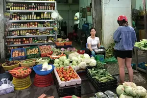 Good preparation essential for abolishing lump-sum tax