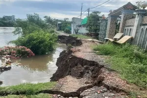 Responsible agencies urgently respond to landslide along Saigon River Dike
