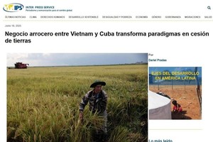 Vietnam–Cuba rice partnership sets new model for food security: Media