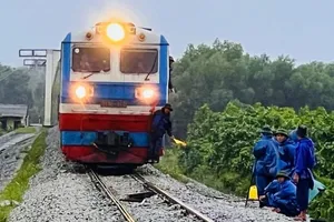 Vietnam-Yunnan rail tourism sees strong growth