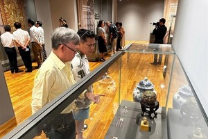 Da Nang Museum opens exhibition of rare ancient artifacts