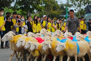 Climate-resilient livestock linked to ecotourism